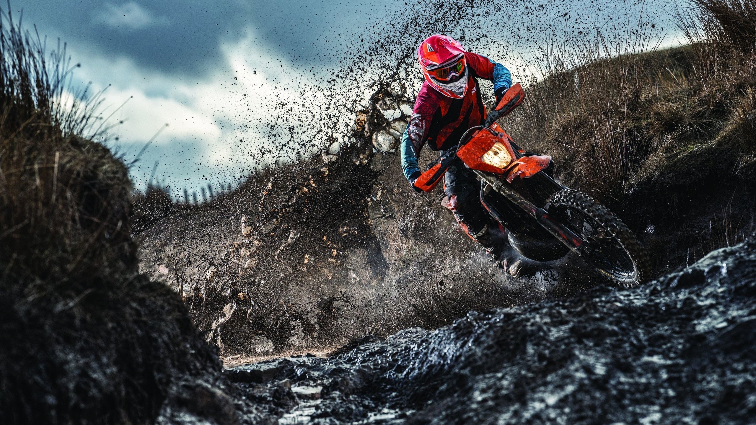 健身教练专业建议